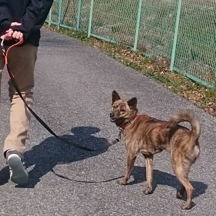 B8231444 29d3 4678 9fa3 81deb5693984