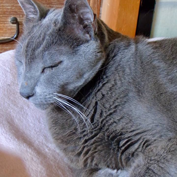 B823cae8 25e3 4914 9475 9b8db5421b47