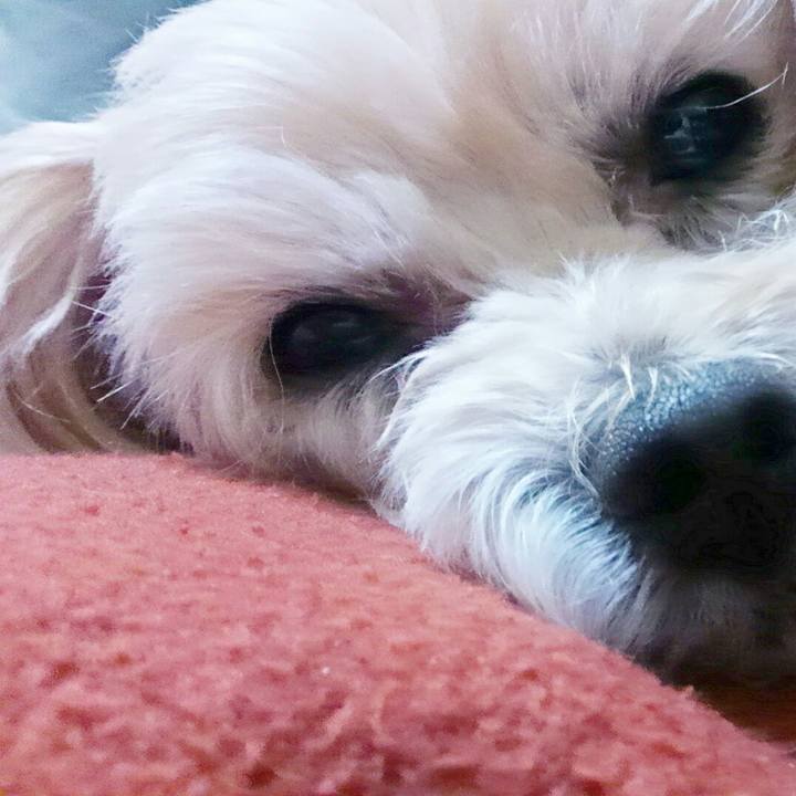 B823d627 0494 478d 9de5 d7e32feb0171