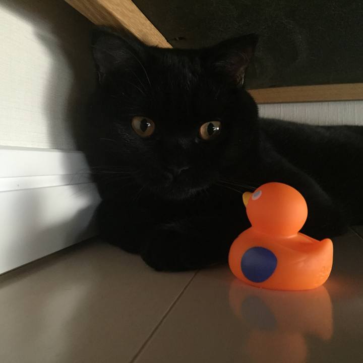 B8240673 c641 434e a638 b03c26e3cc39