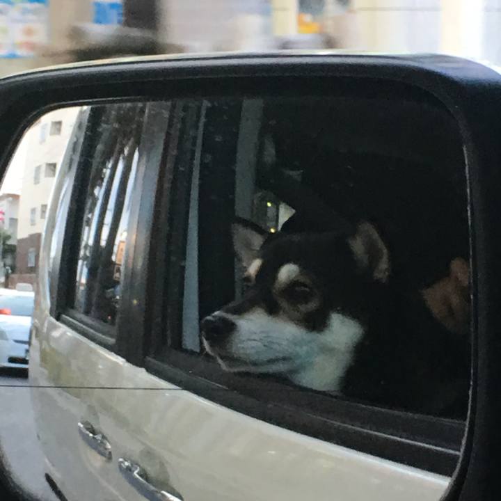 B82427a1 636d 4852 a643 aab5bf320d35