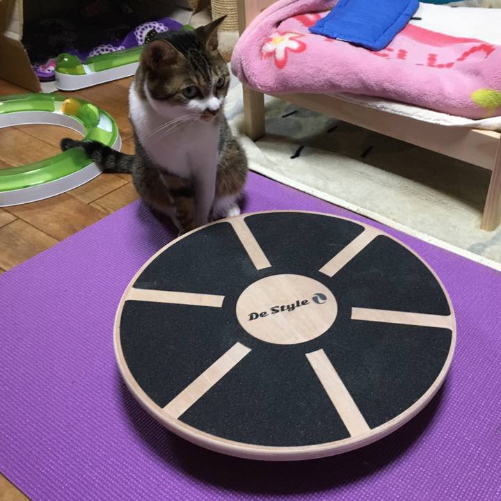 B82497c1 e0d7 483a a7f2 1d60cff0590c