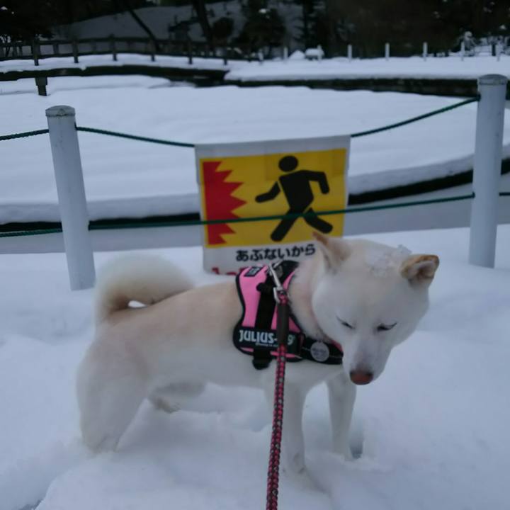 B8250655 f409 44ba aa81 1ef7f1261b16