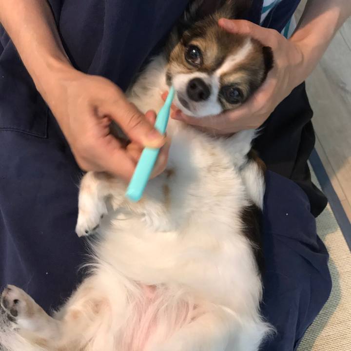 B8254334 1518 44b7 91c3 6f5cf997c547