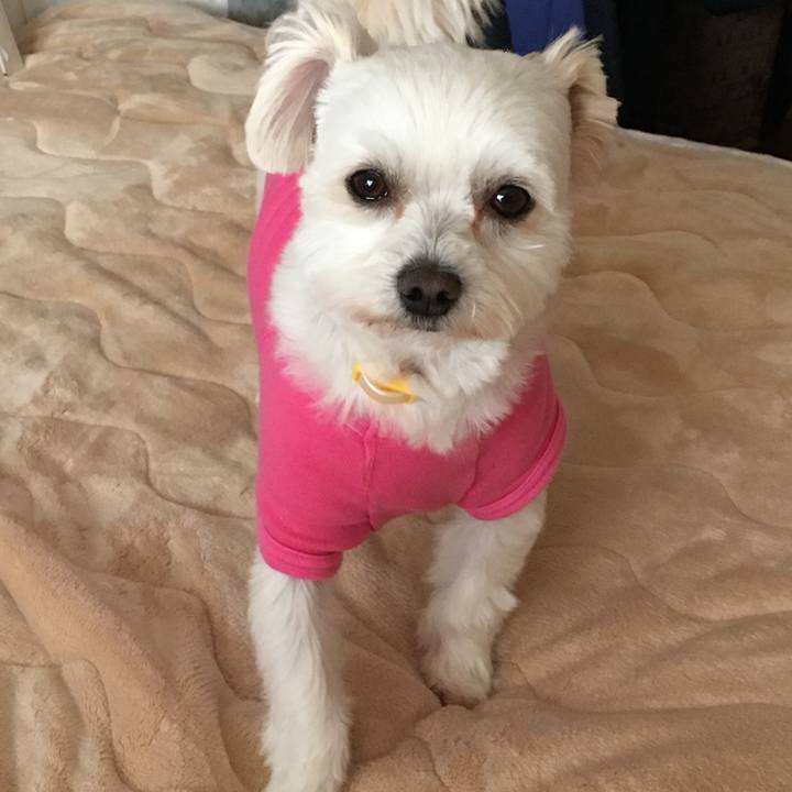 B8254341 84c1 4dd7 adfb 3d7dd87b3cd5