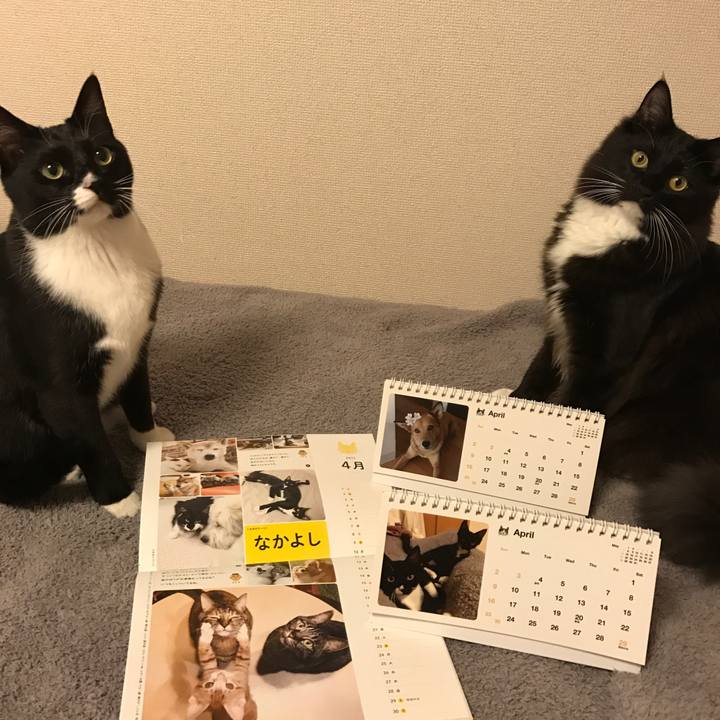 B825df1c b22b 43ed a2de 3ee2bc538c0a