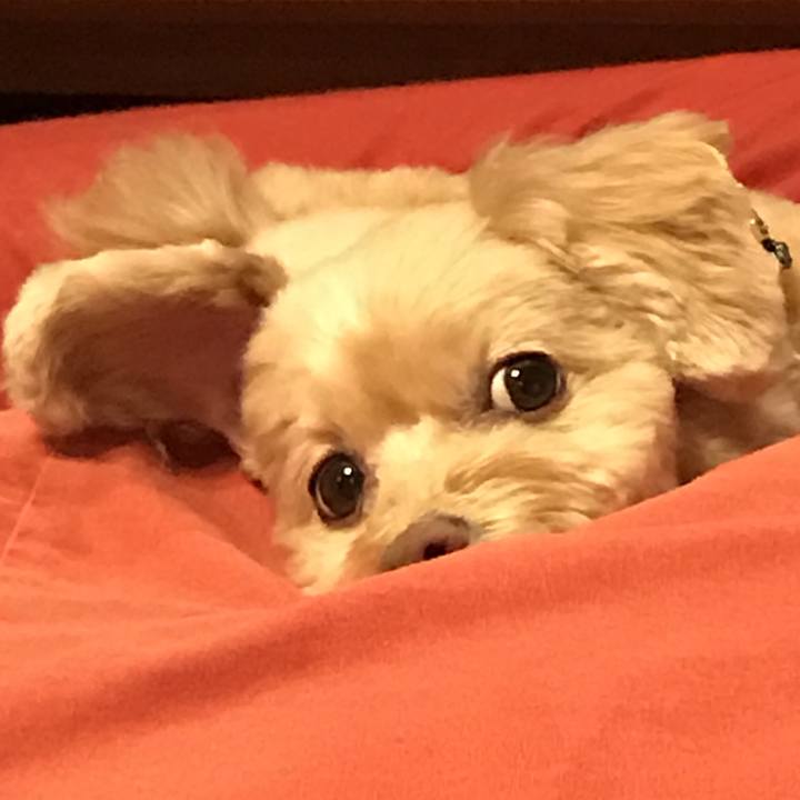 B8277151 de20 41cc 8033 b56f3ab674ac