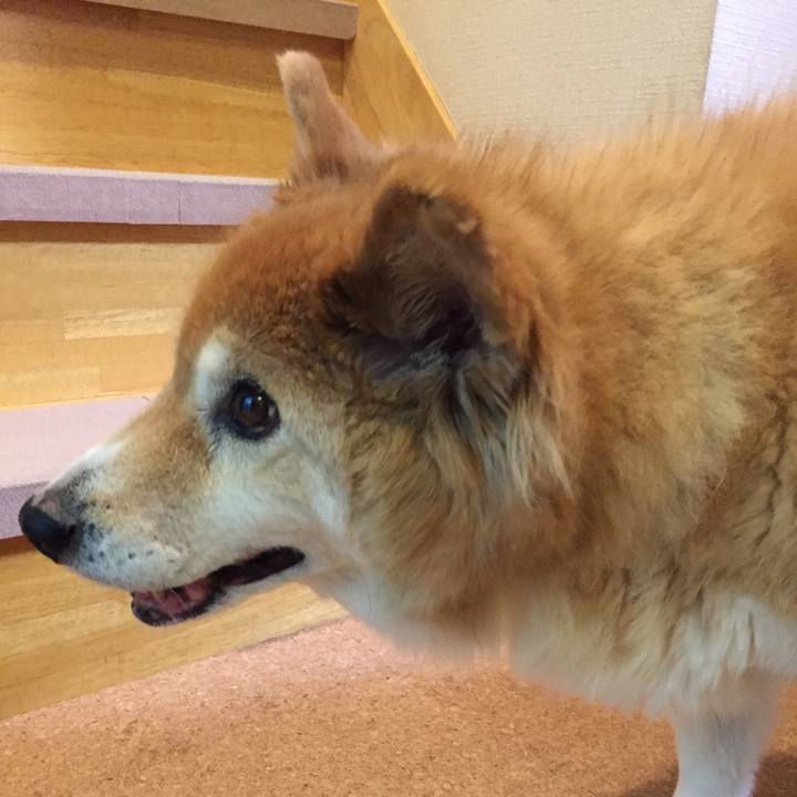 B827847d 00da 4b28 b181 0ef30af746c5