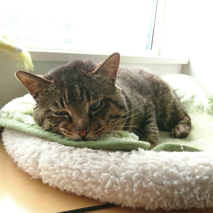 B827b926 c773 4f08 8347 b36311256891