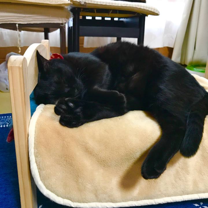 B828b3a2 807a 4ca9 af2e 59711543902e