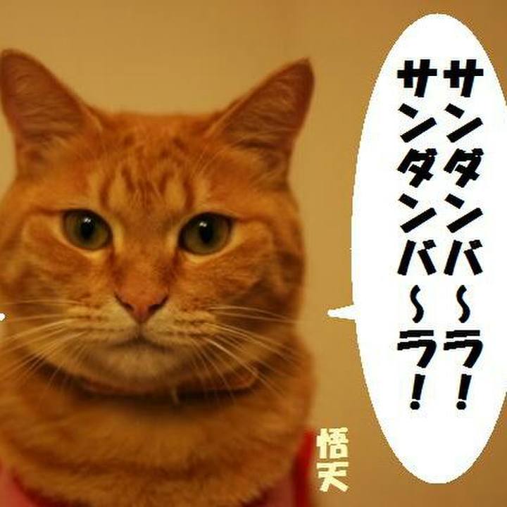 B828bc63 3cd5 4555 b017 c6e3c6d4b612