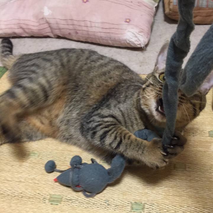 B8294eca a732 4259 bfa6 41f252b8741a