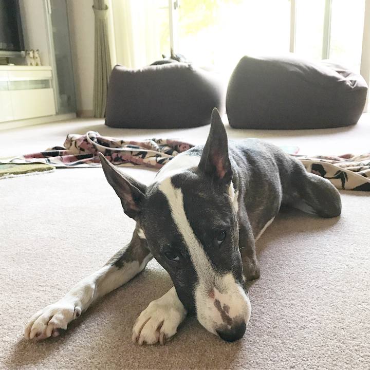 B829562d a375 4310 a87d 810cf1204547