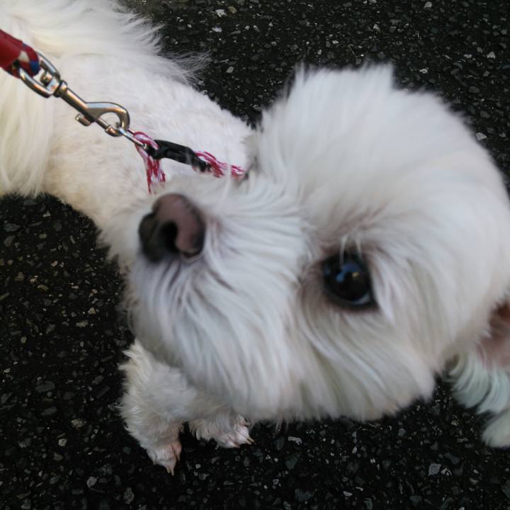 B82a2487 524d 4f78 a9da df8eea9e6202