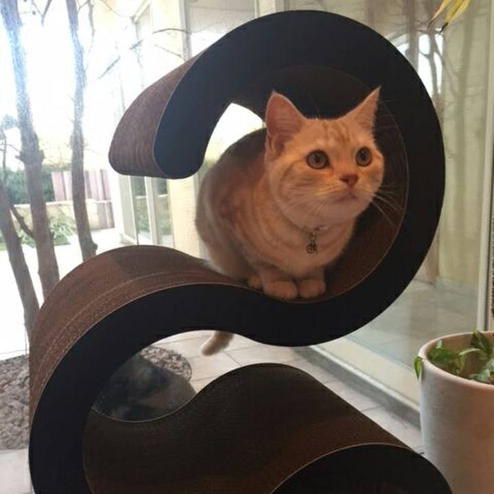 B82aaafc 274f 459f a688 a10d3daeac1e