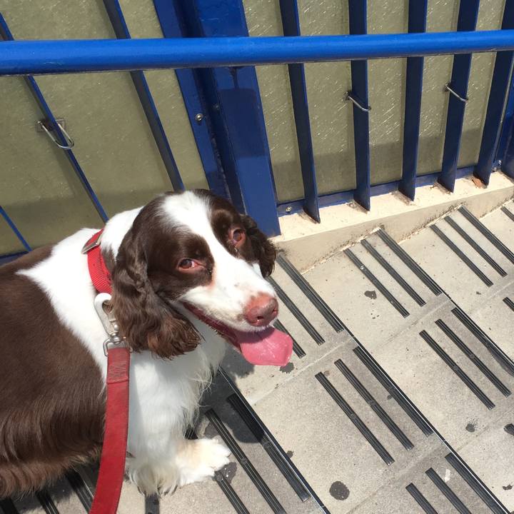 B82af10f 6acb 401f bdfd df16507a869f