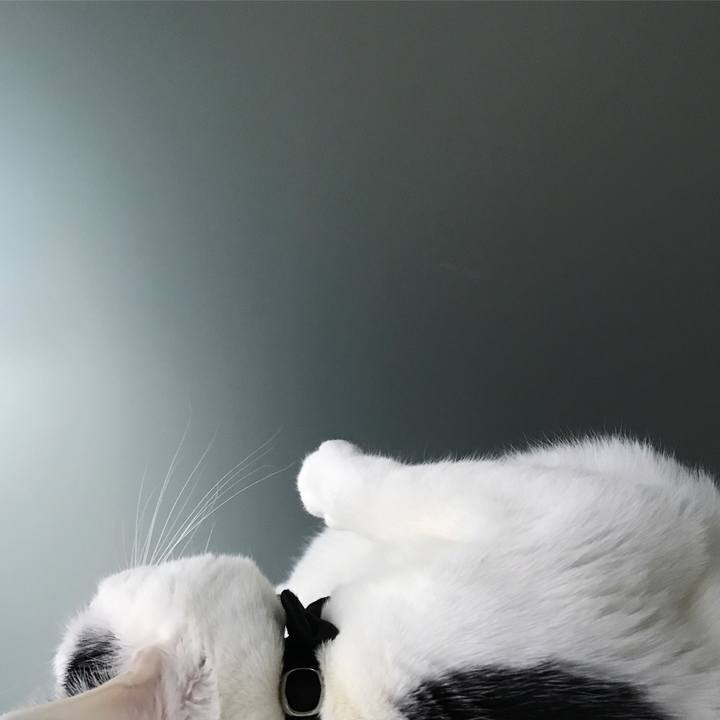 B82b6026 330f 41d9 8476 ef8919c28851