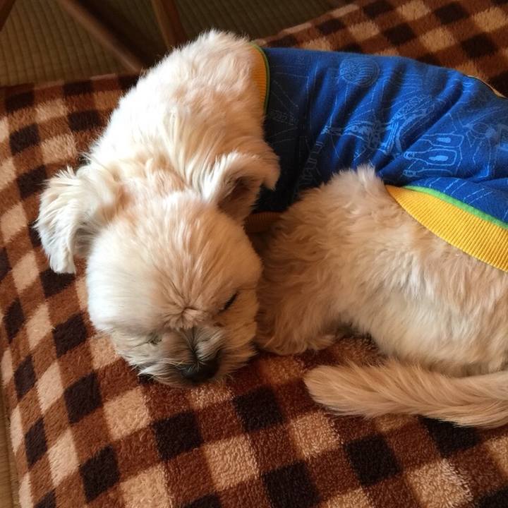 B82baaf8 245a 4782 a569 bb03ae04eb8b