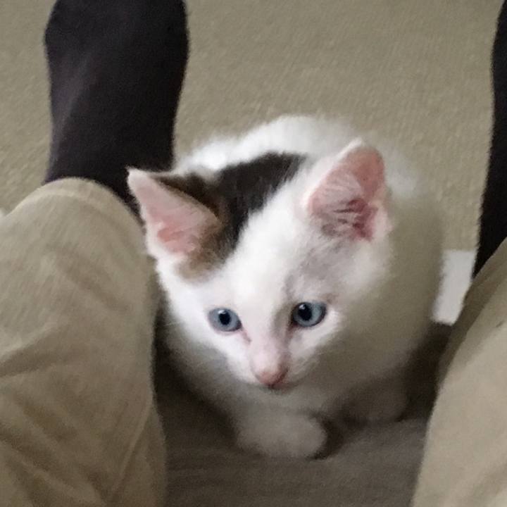 B82bed3f 7086 48a0 982e b7b77dcc9587