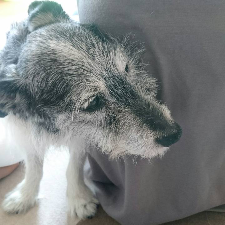 B82c566c 50aa 4d80 a7c8 abe40bebdbfe