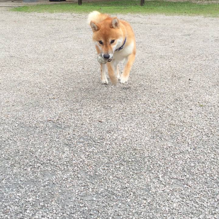 B82cba60 2ef3 4bd3 9651 a6aa183624d0