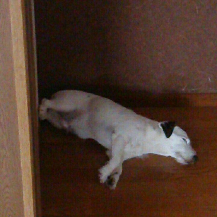 B82cc818 d2b2 4d89 b5eb dcfd3fa18382