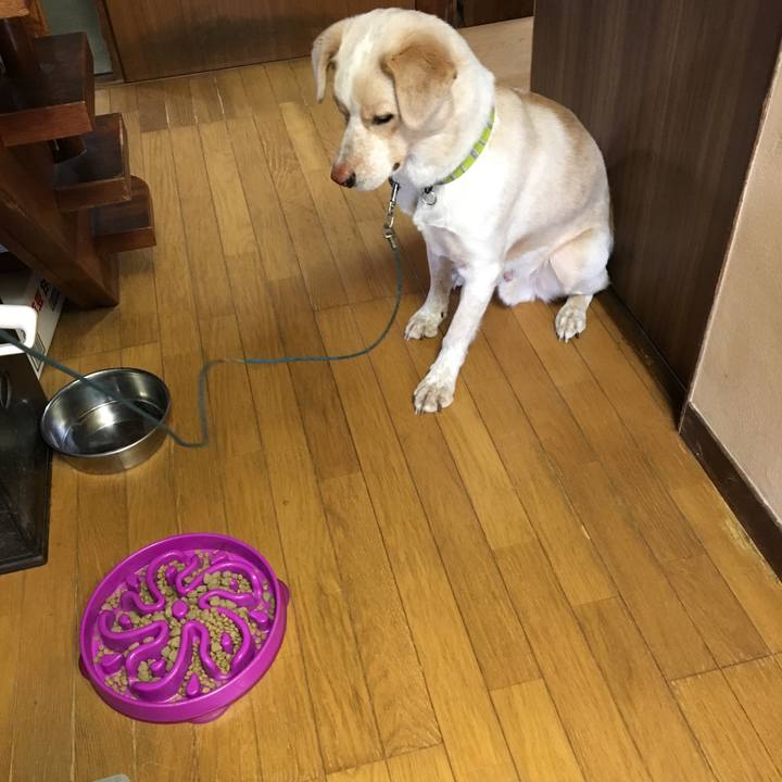 B82cf474 ad26 4ac6 affa 7fa7887f9e73