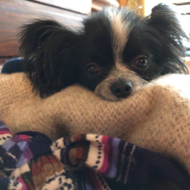 B82e4fb5 0172 4b00 842f 27bc489ff278