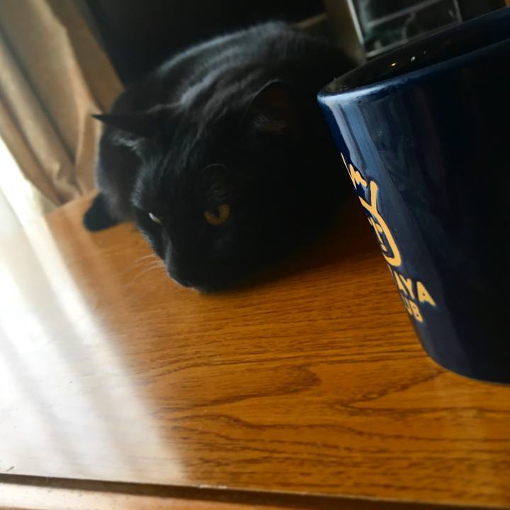 B82e703d 0e79 458e ad07 4ac5cdb8610b