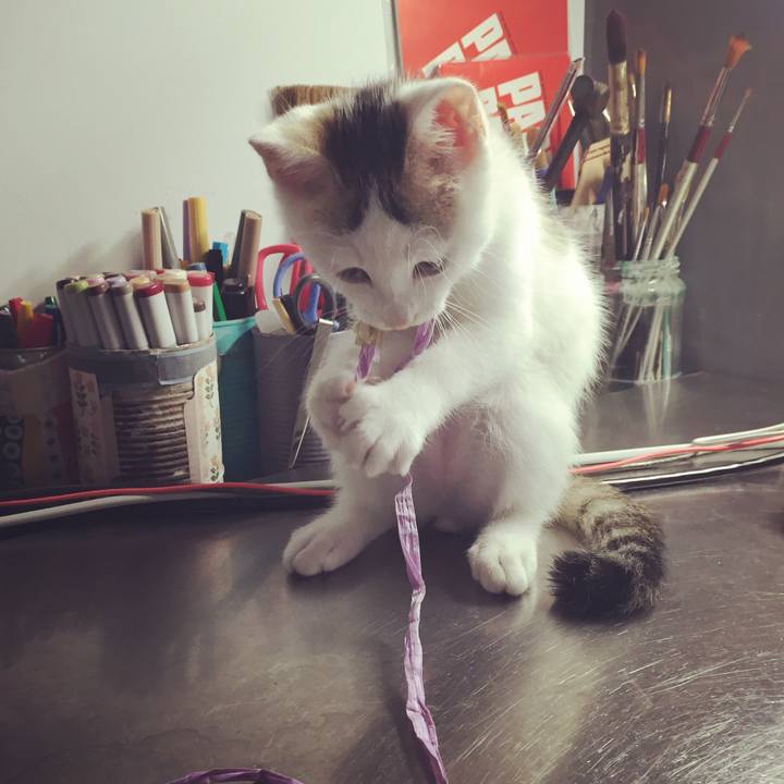 B82e858d f571 456b 990c 1918c118eebf