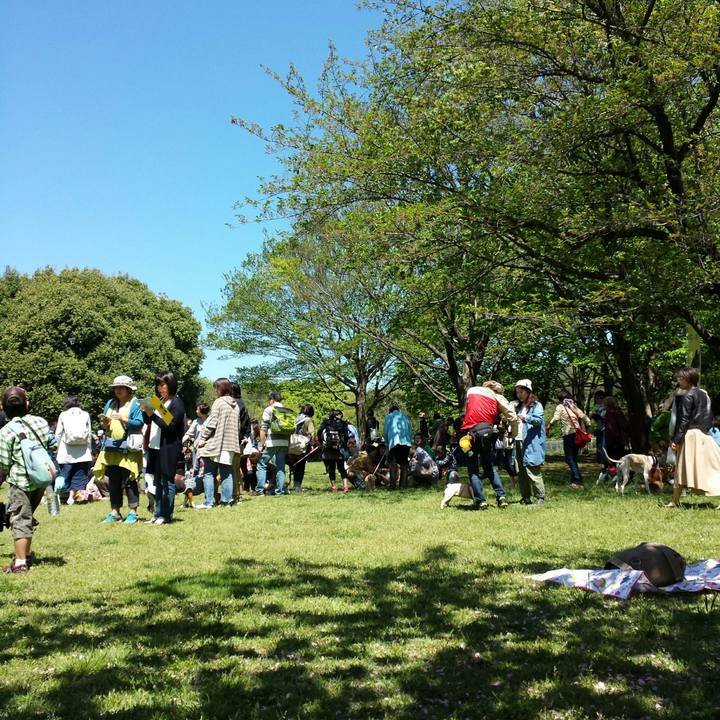 B82ea74d de7e 4ca4 a1d1 d882f5cca5e4