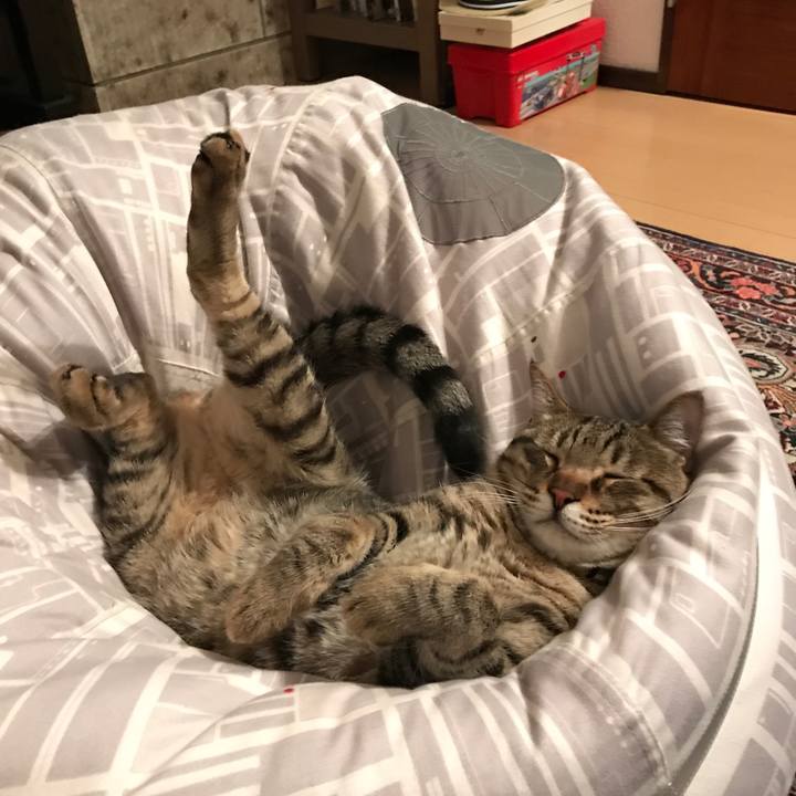 B82ec5f3 2dda 41cf 9d77 53ab5ab02268