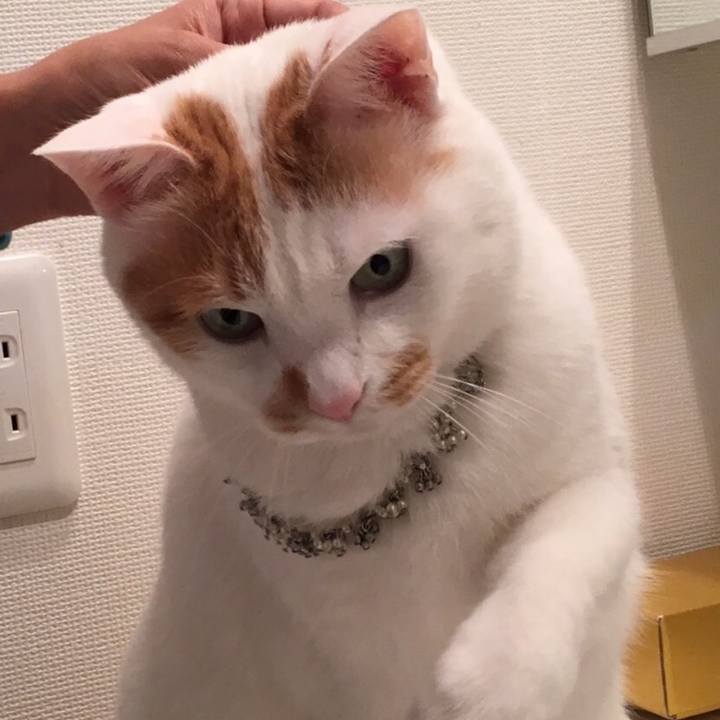 B82f075f afdc 4041 96a1 19220e12185e