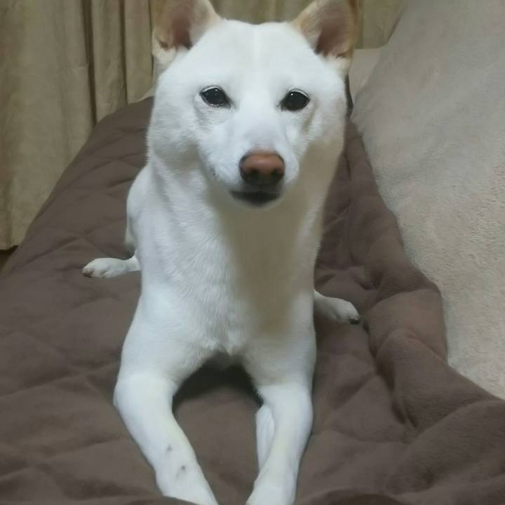 B82f6ae2 d1b1 49e0 a77d 3680ad7785c4