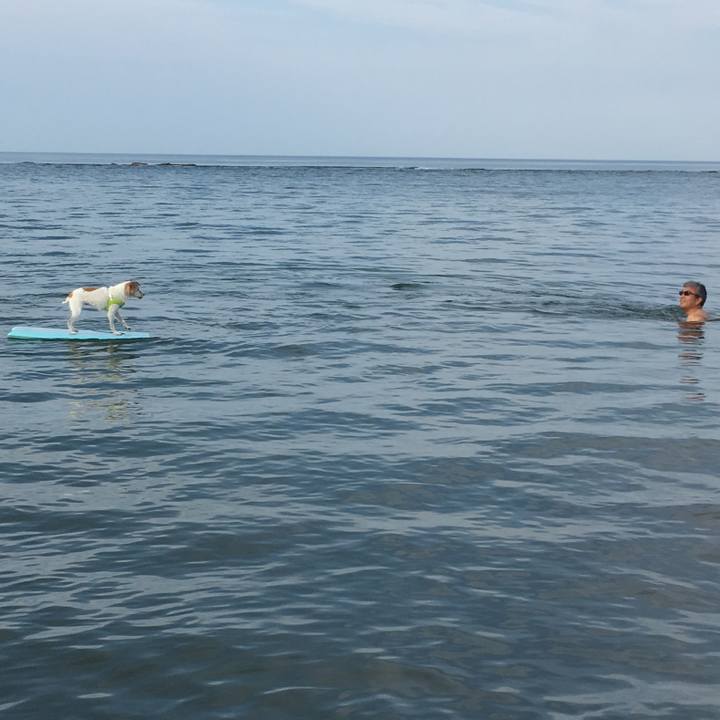 B82fe3ba 9551 4f8c b14e 4386b8d49eae