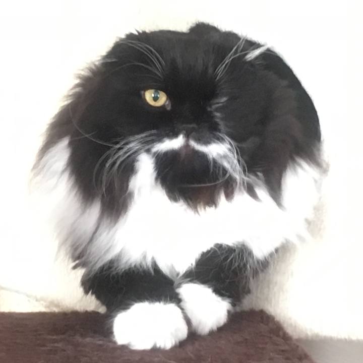 B82fe4e6 7c91 4dd8 ba69 4f7032504d4a