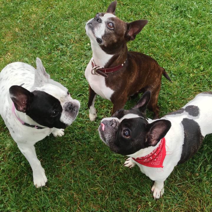 B82ffb5b f919 4c79 839d 0318773960f6