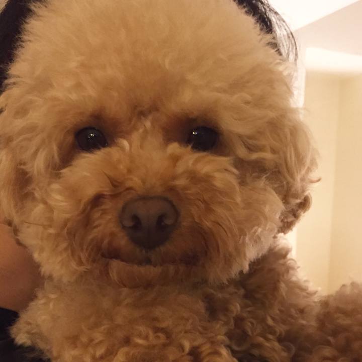 B82ffcde d38f 4751 9e44 e022de8f51db