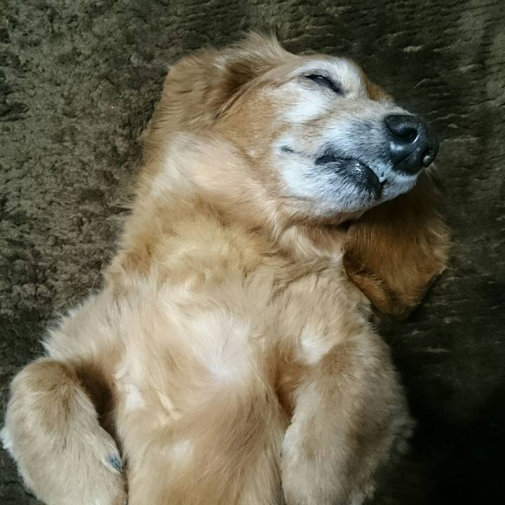 B83028b7 2262 4a6c 9b84 516e361a8d67