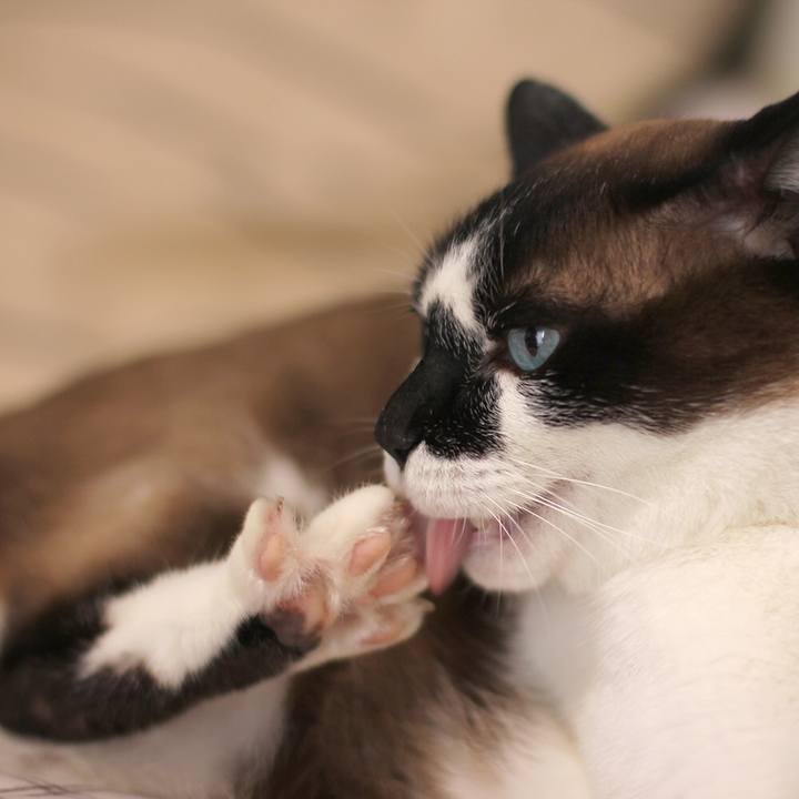 B830398f d646 49d3 b51f 1a7e1a52d182