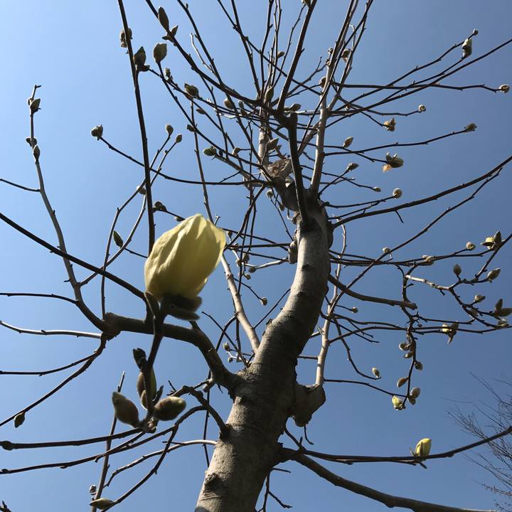 B830813e c91b 4d65 bd17 d04c27e029ff