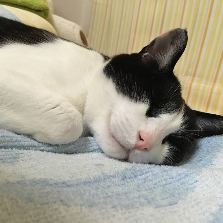 B83166e6 cc55 4da9 a9df 50eb647769c0