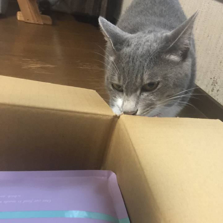 B831d72d 8904 4168 b6b1 9435cac4d186