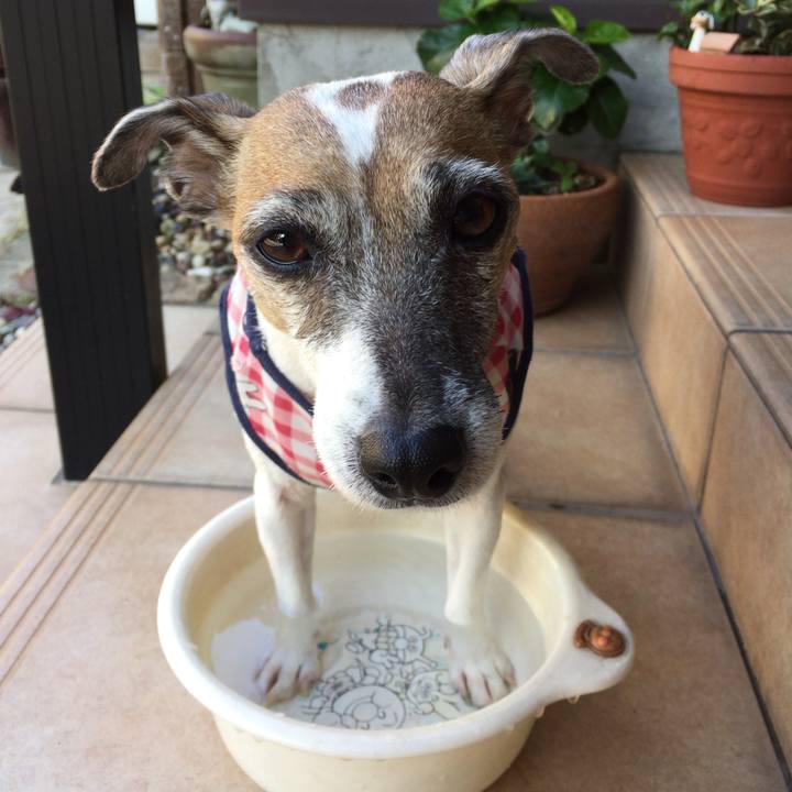 B8320060 e3fd 437f b335 b451581fe895