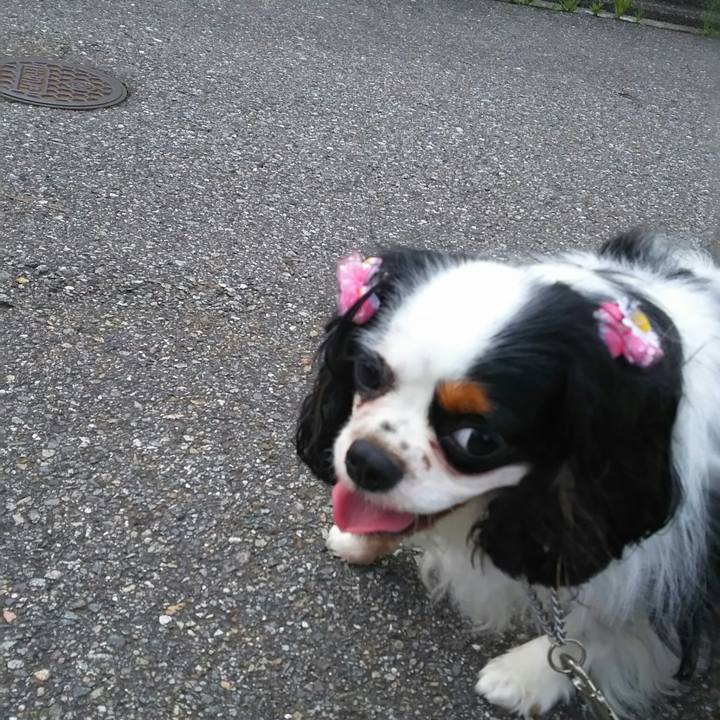 B8320656 d859 4333 9306 853b7ebfd1cd