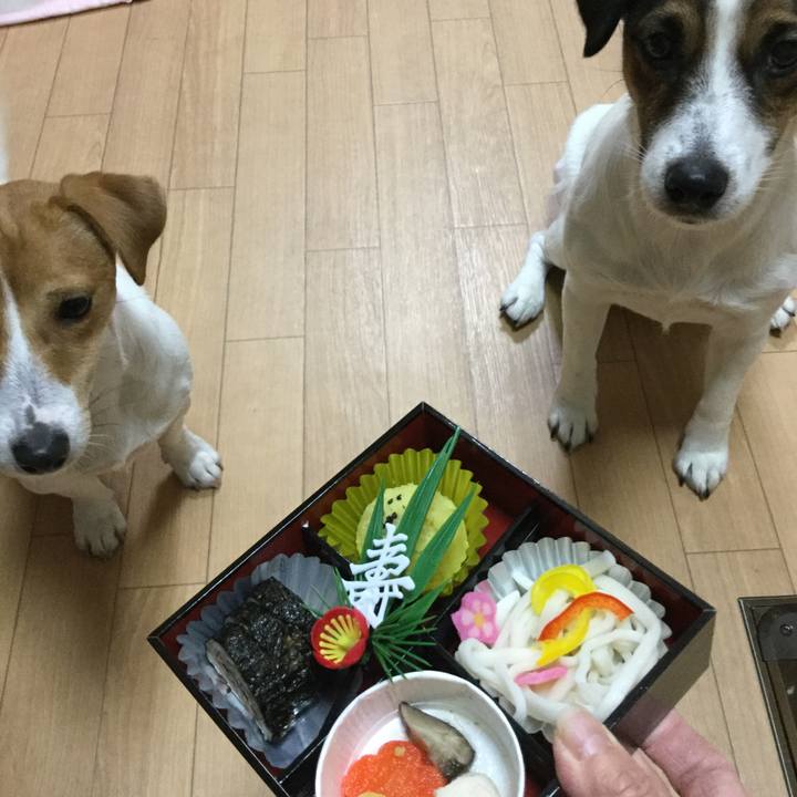 B832cd8f aa19 4c4e 85cb 812bb2da6fce