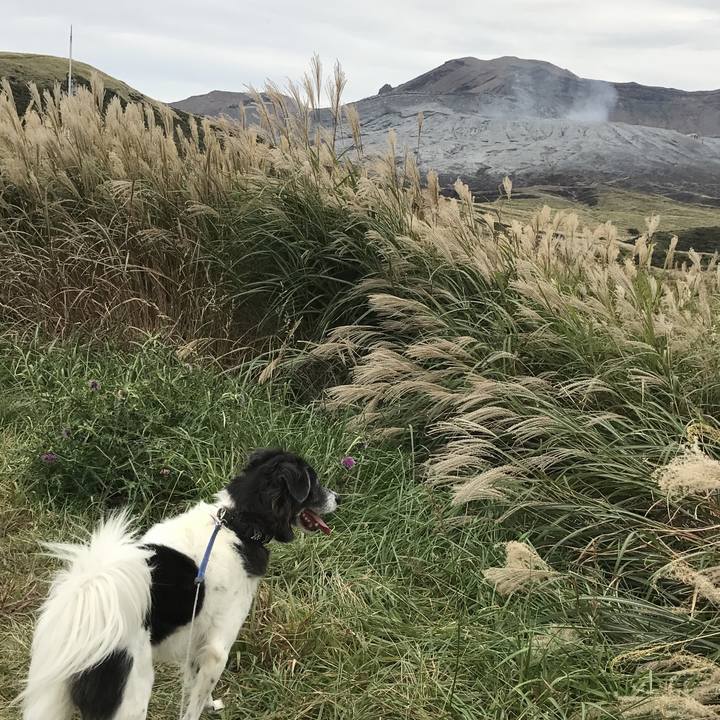 B8331fb7 e526 48d1 b471 2ba7540274ea