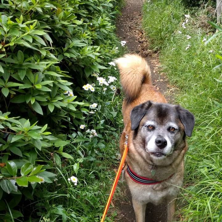 B8336c4d 81e4 44d4 b58b 1ba00ae89f37