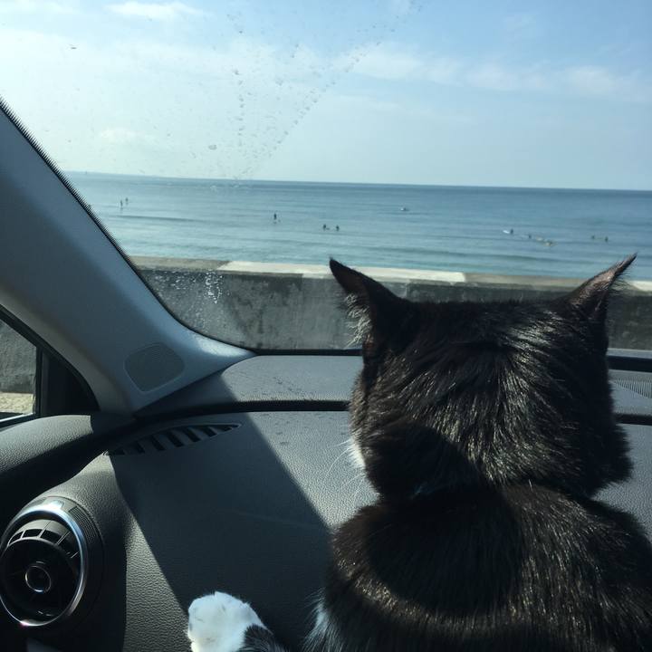 B8337259 b8a5 4ffa b59d 9649683087f9