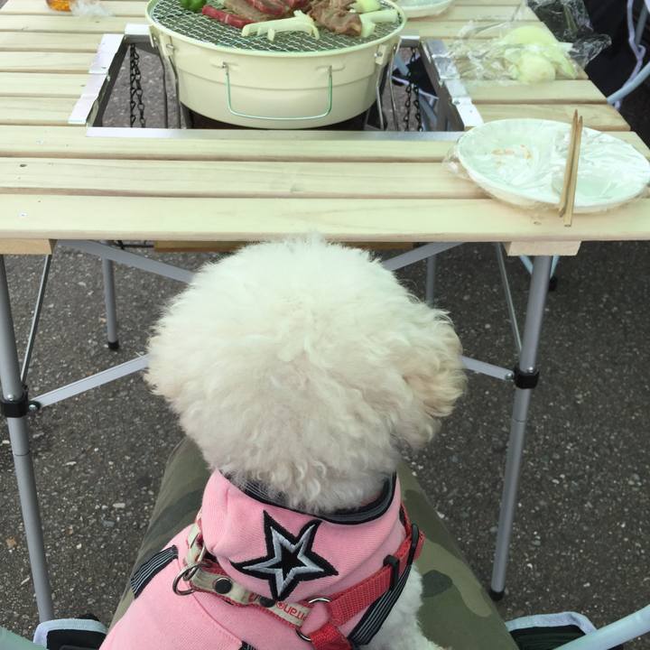 B8337858 083f 460c 8bfb 67e4bac4dbb7